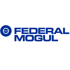 FEDERAL MOGUL SYSTEMS PROTECTION